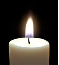 Verklaring VHP over eerste COVID-19 dode