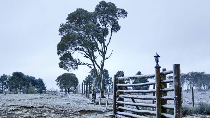 Het gaat sneeuwen in Suriname; bij wet bepaald
