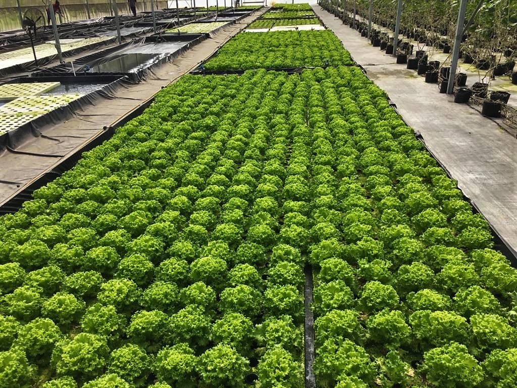 DNA-leden op bezoek bij H2O CULTIVAX